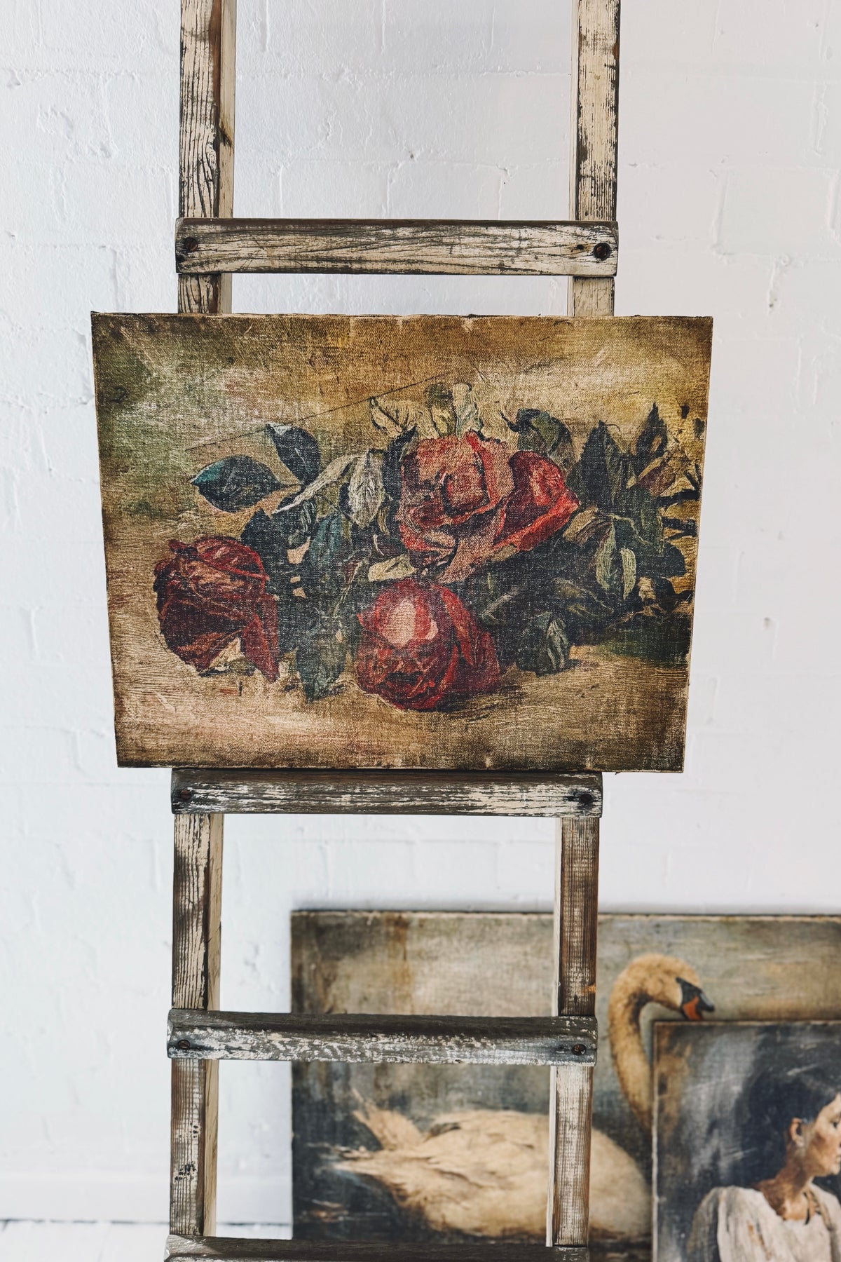 Rabbit Hole | Vintage Print | Roses Still Life
