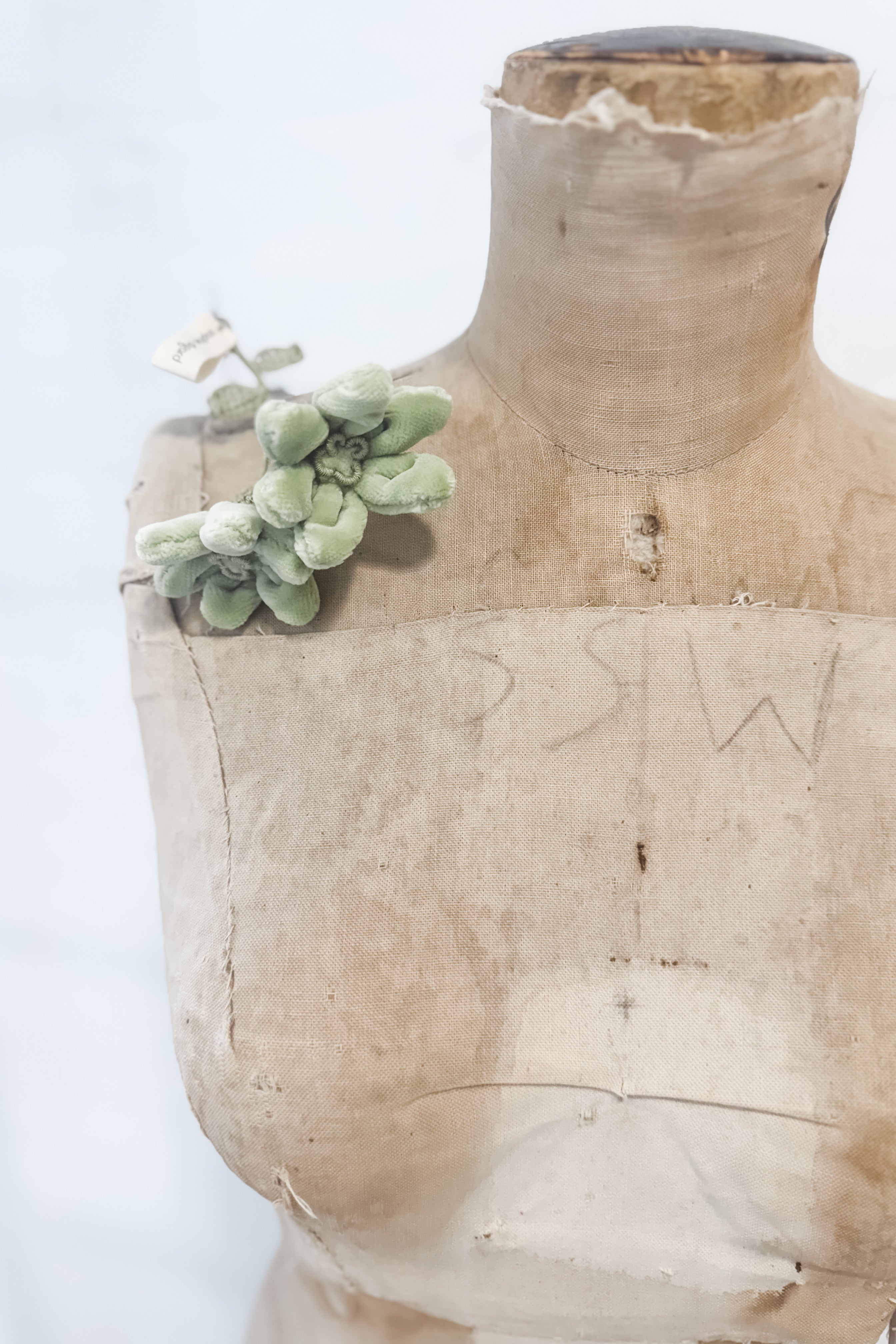 Sophie Digard | Velvet Bud Brooch | Melody