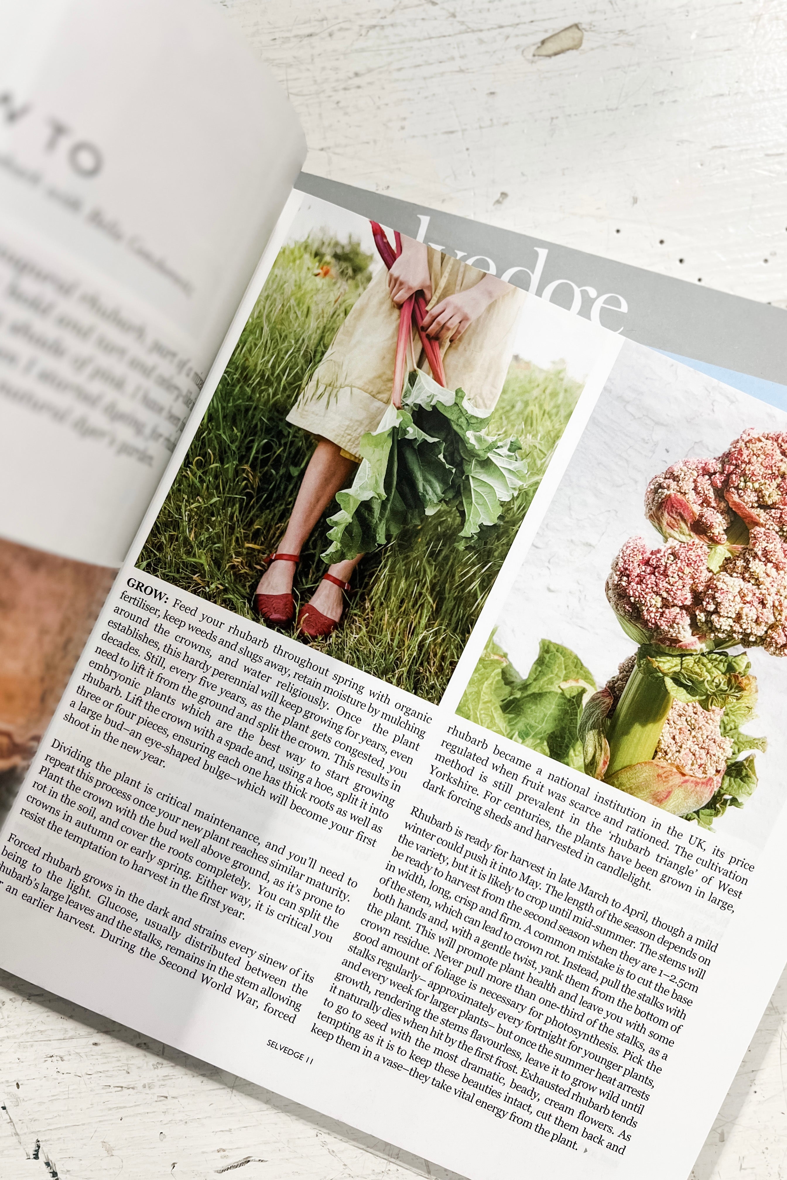 Selvedge Magazine | Issue 108