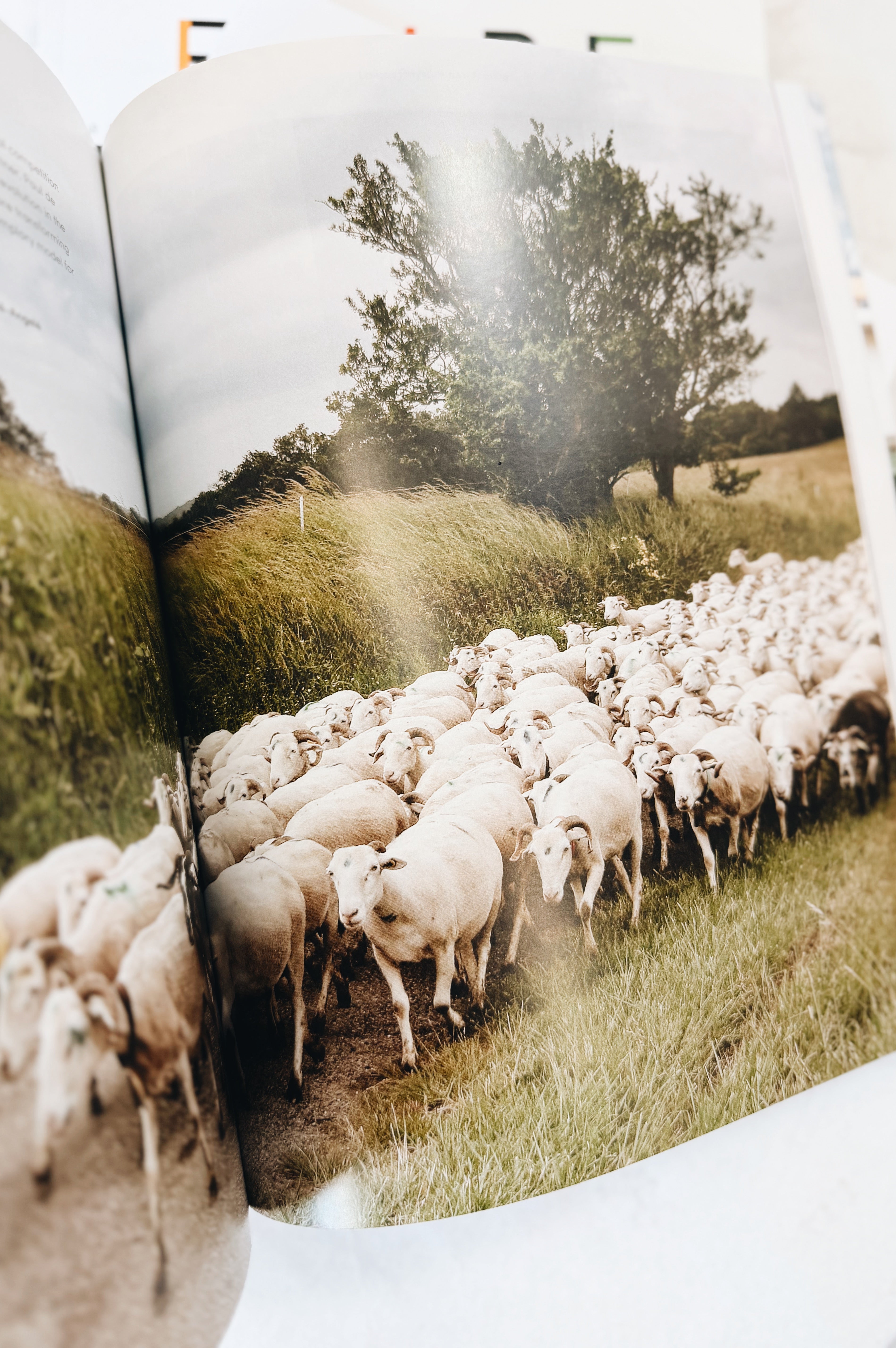 Faire Magazine | Issue 5