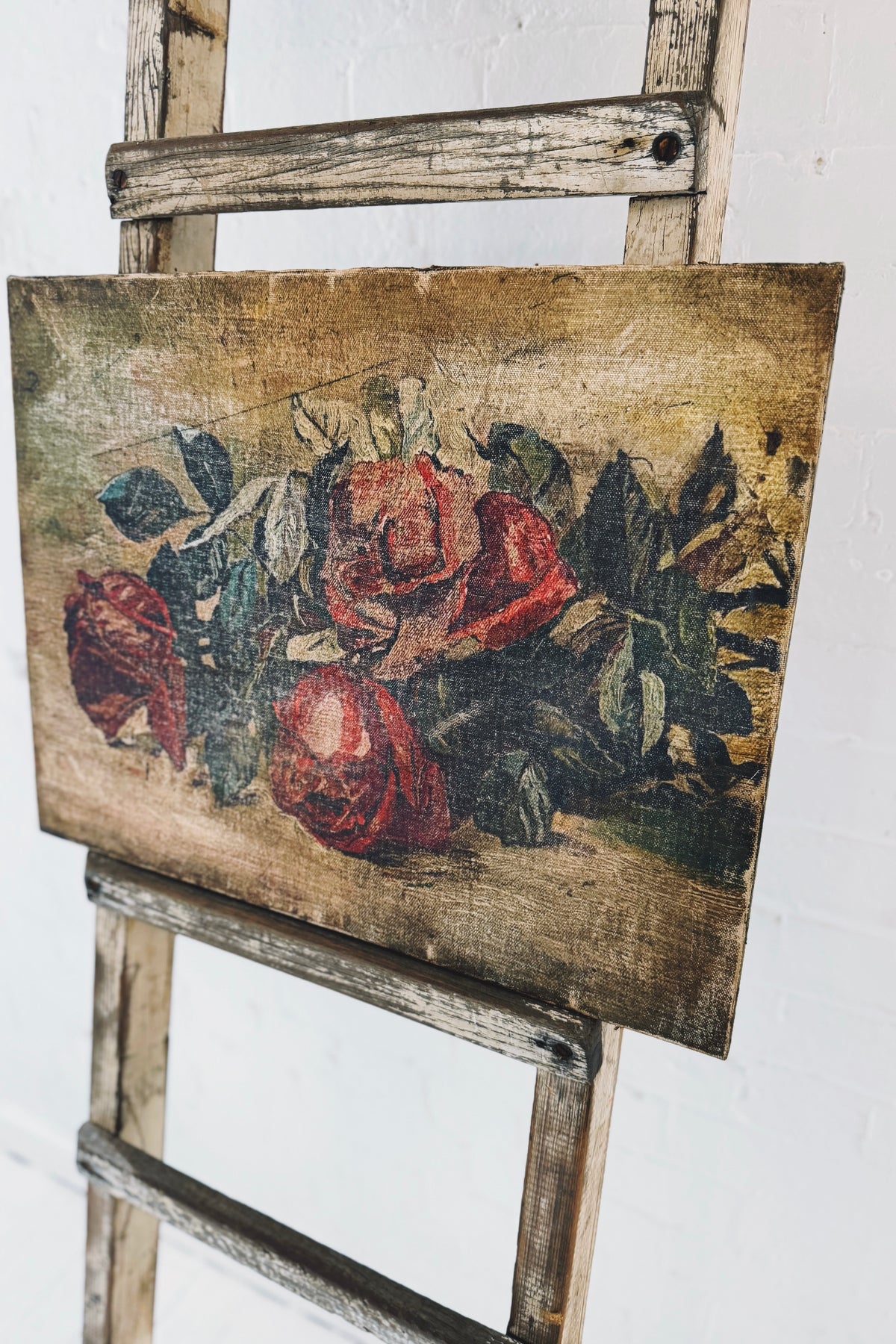 Rabbit Hole | Vintage Print | Roses Still Life
