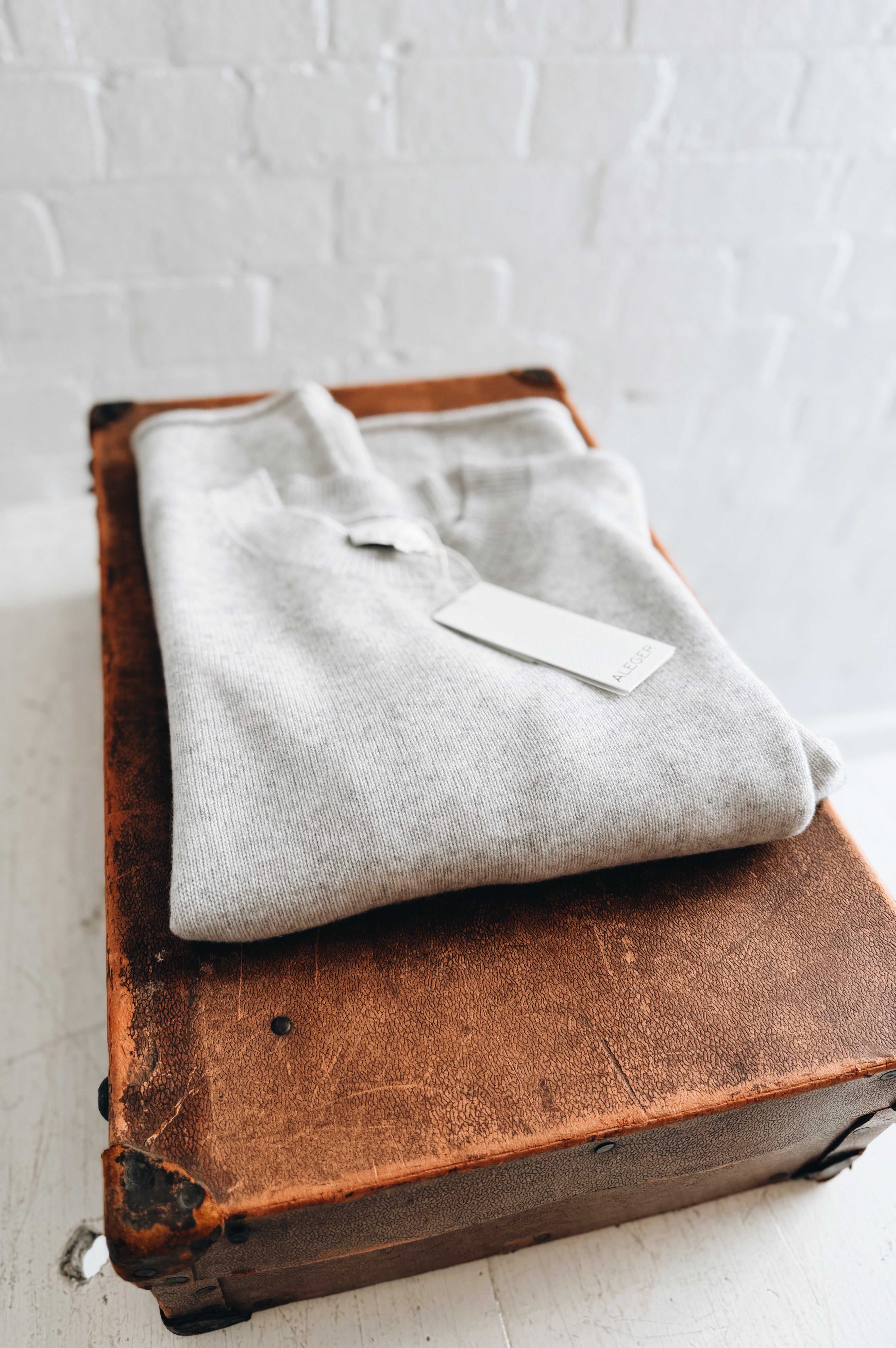 Aleger | Cashmere Blend Super Big T | Polar Grey