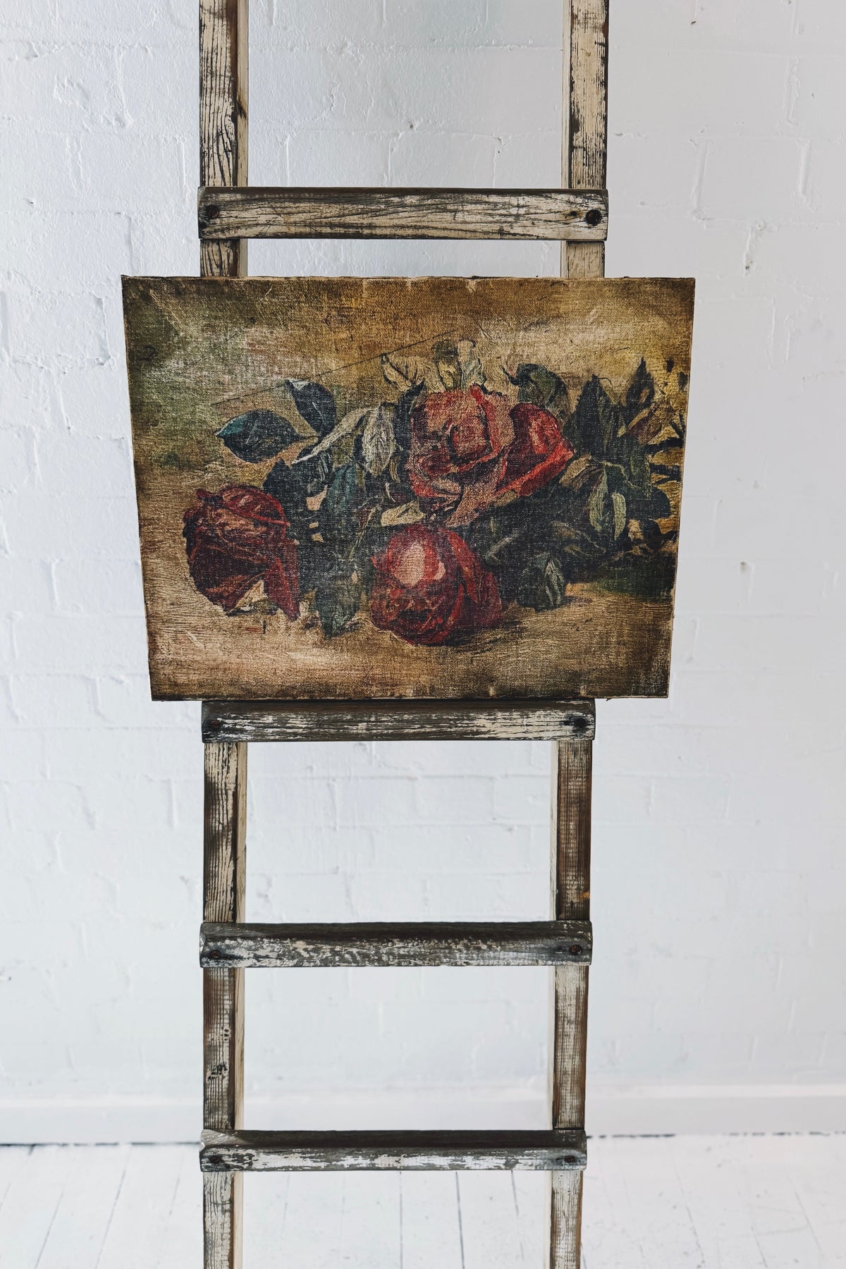 Rabbit Hole | Vintage Print | Roses Still Life