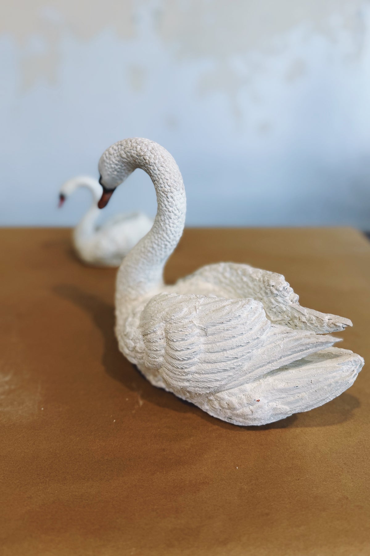 Rabbit Hole | Swan | large