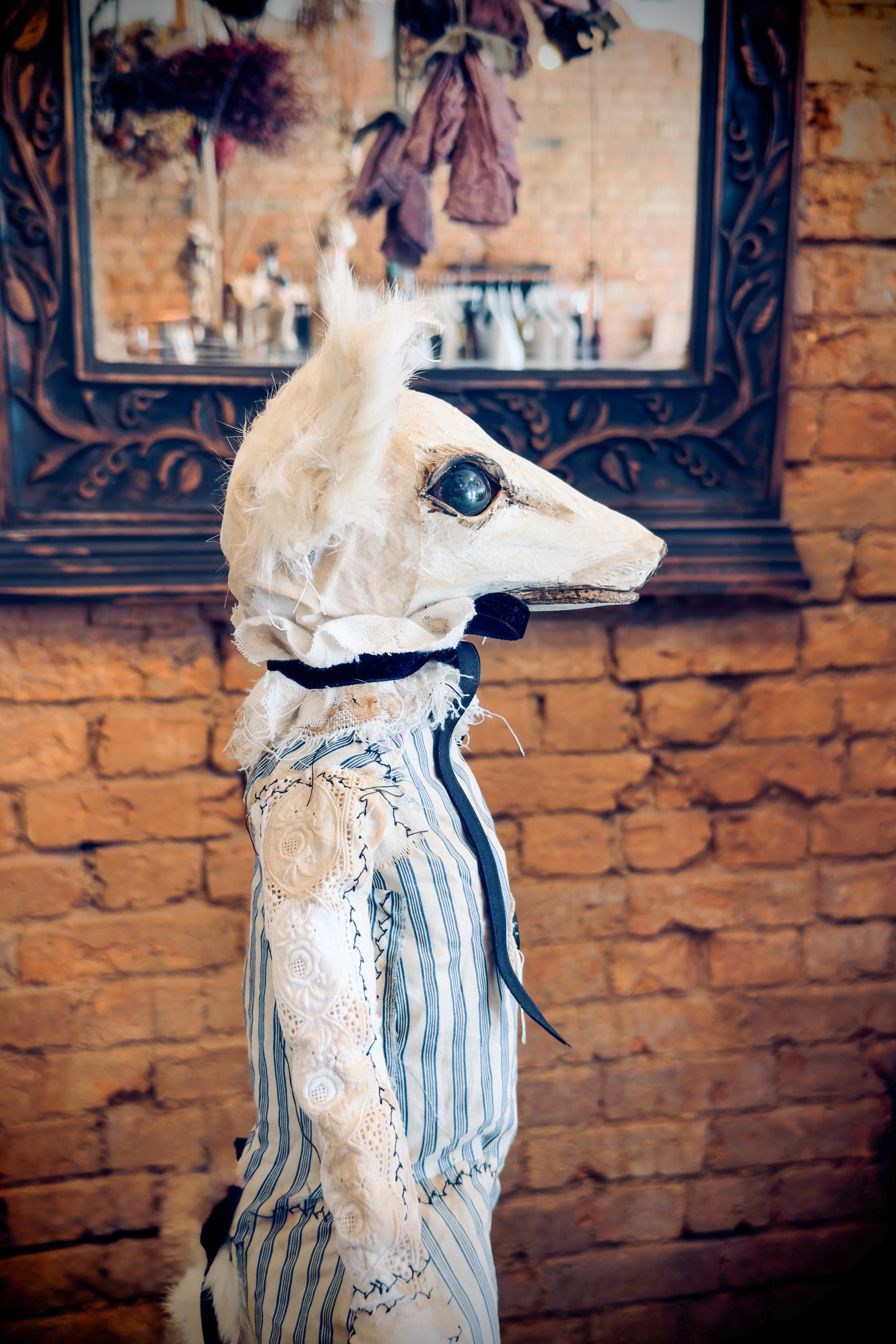 Hip Hip Decay | Fimf Fox