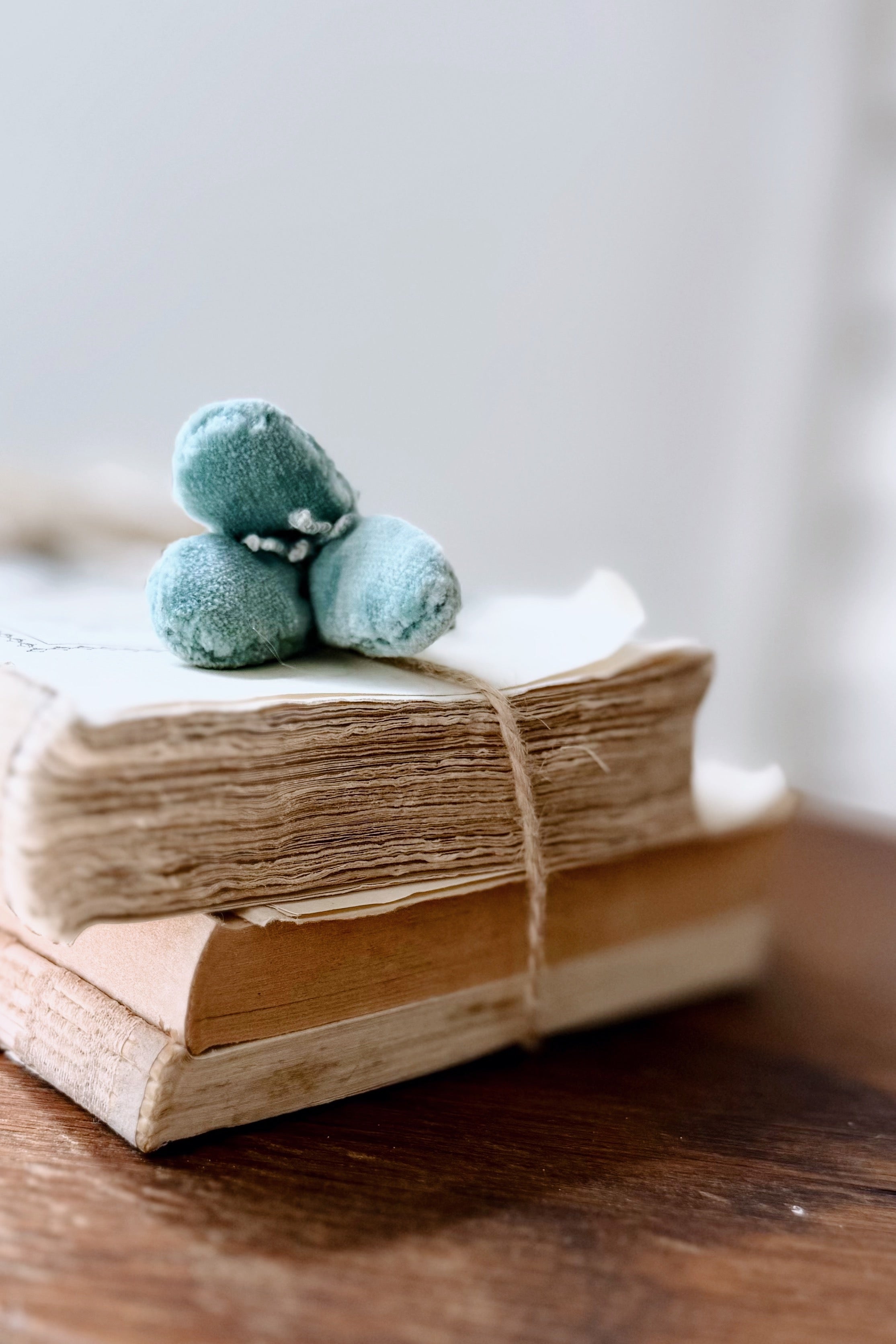 Sophie Digard |Velvet Stem Brooch | Zoe