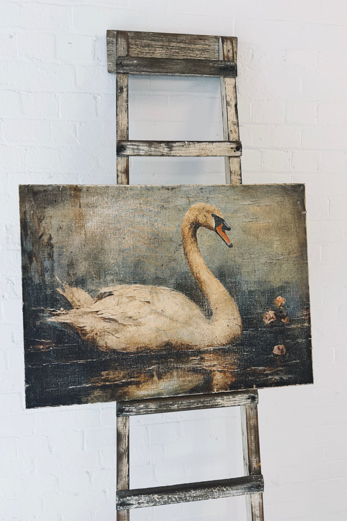 Rabbit Hole | Vintage Print | Lone Swan