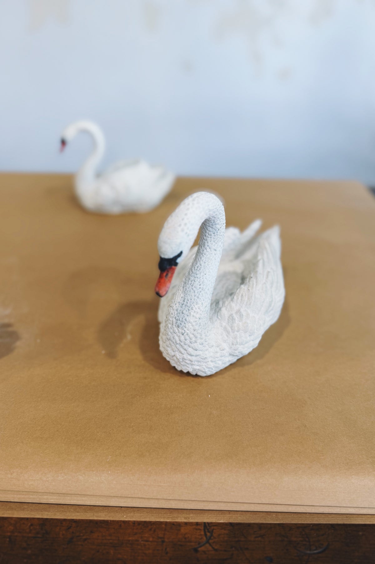 Rabbit Hole | Swan | medium