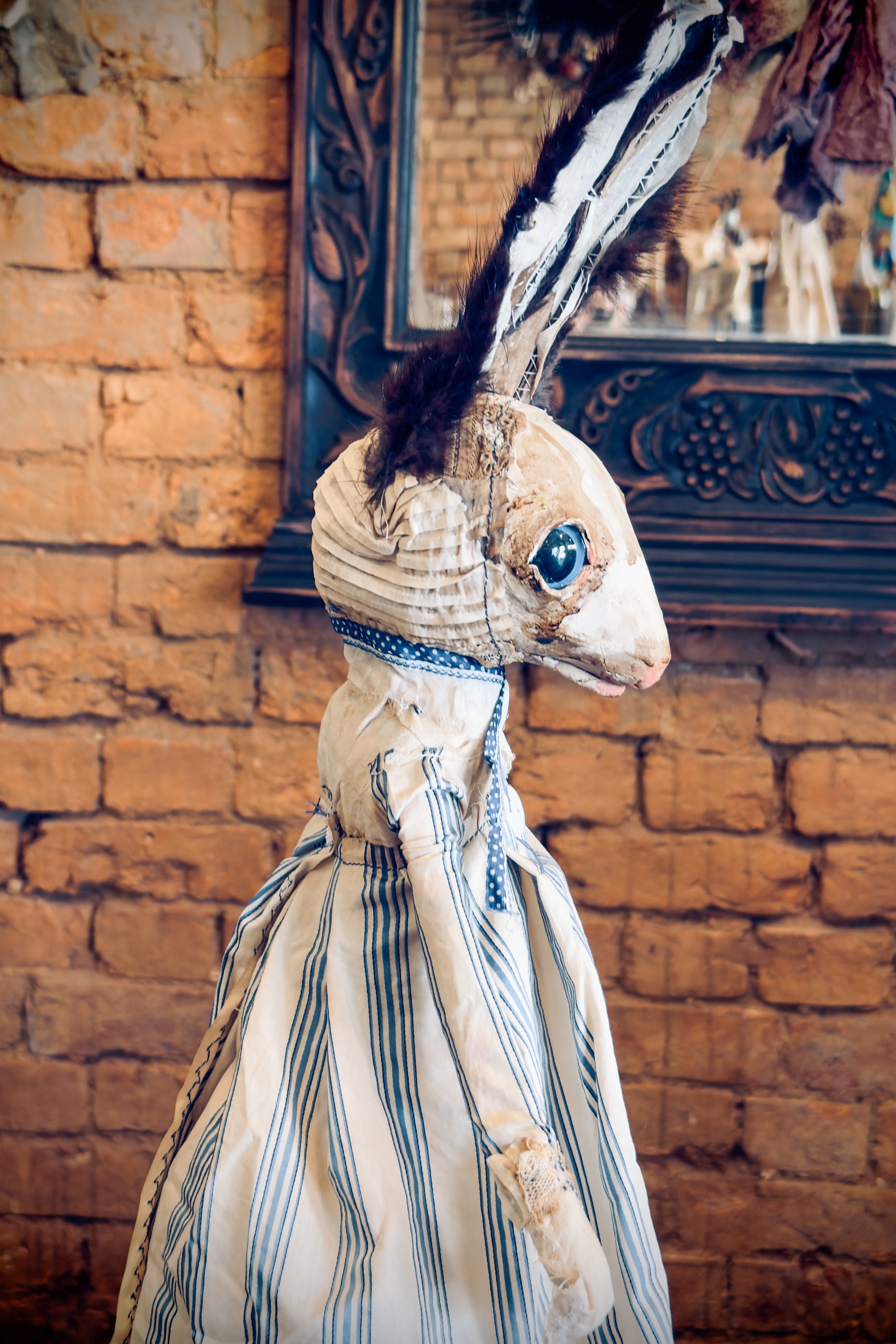 Hip Hip Decay | Athlenda Rabbit