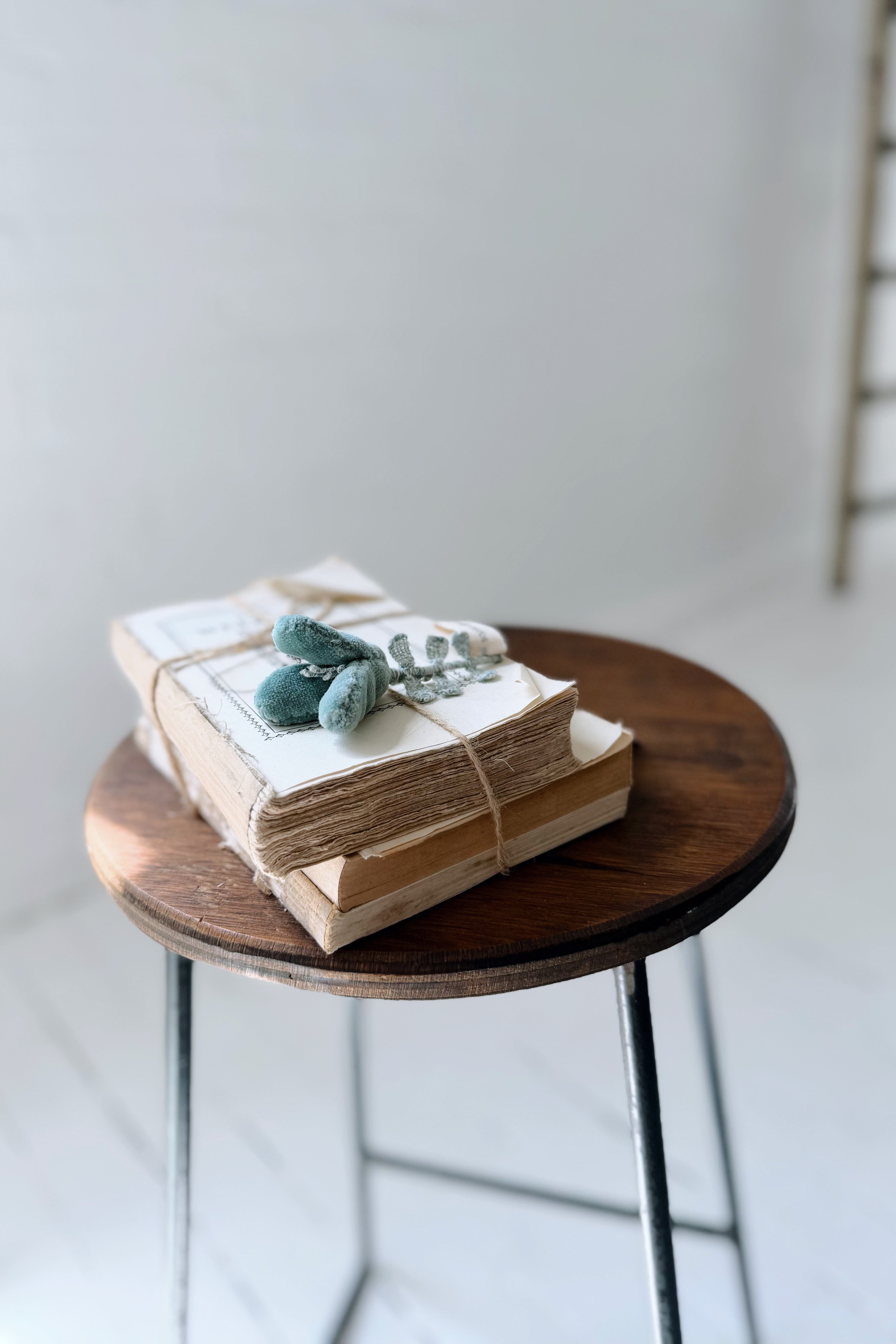 Sophie Digard |Velvet Stem Brooch | Zoe