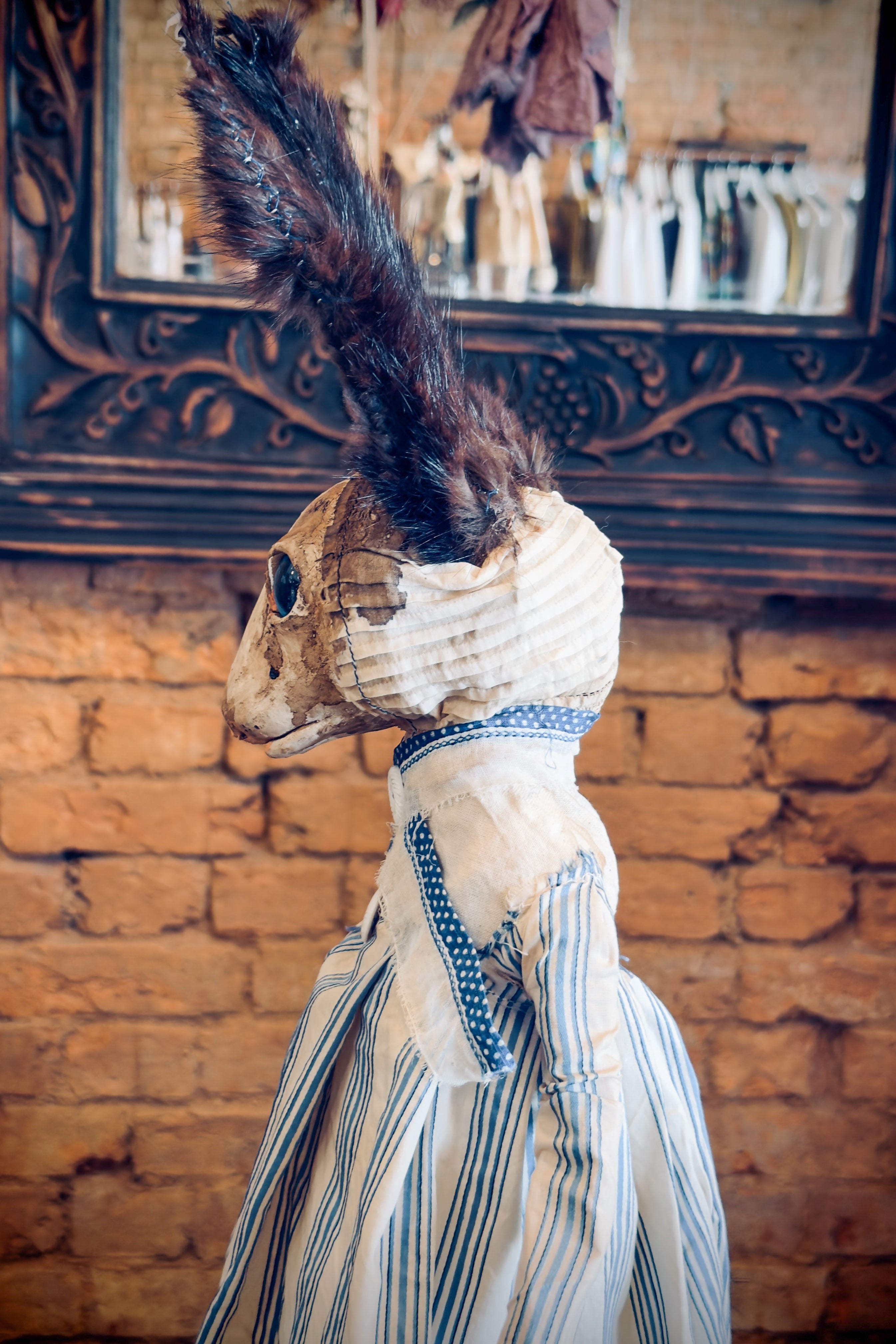 Hip Hip Decay | Athlenda Rabbit