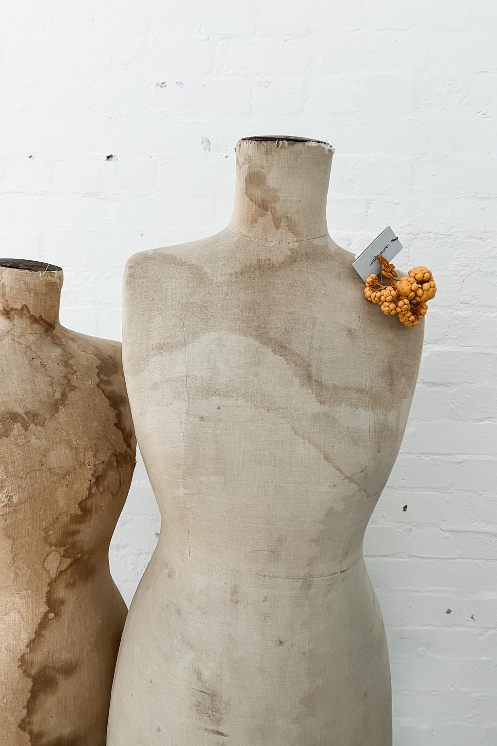 Sophie Digard | Bud Brooch | Golden